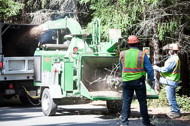 Best Tree Risk Assessment  in Bon Aqua Junction, TN